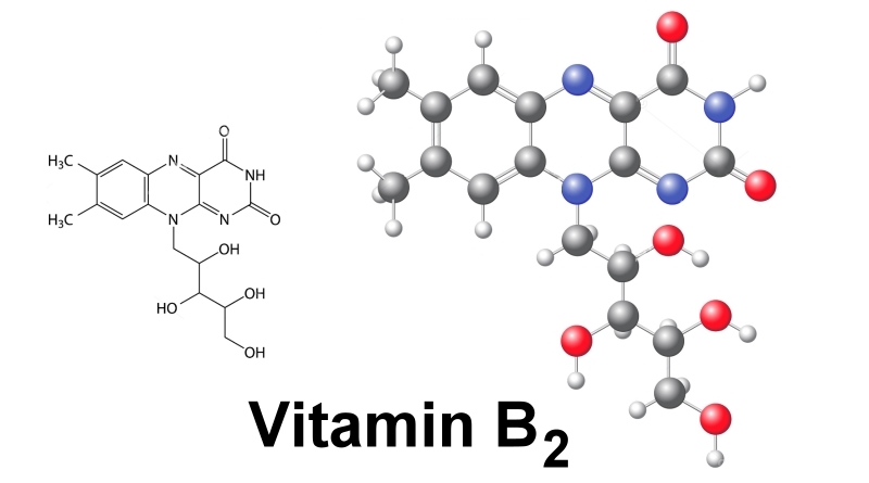 关于维生素b2,你知道多少?