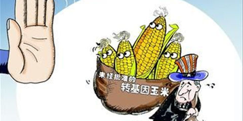 转基因非法种植入刑势在必行 专家提设立基因技术罪