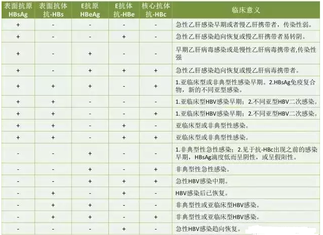 乙肝两对半化验单最全的解释