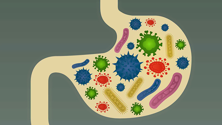 《自然》:膳食纤维助力肠道菌对抗2型糖尿病
